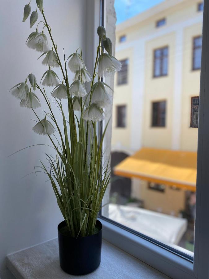 Homelike Apartment Lviv Luaran gambar